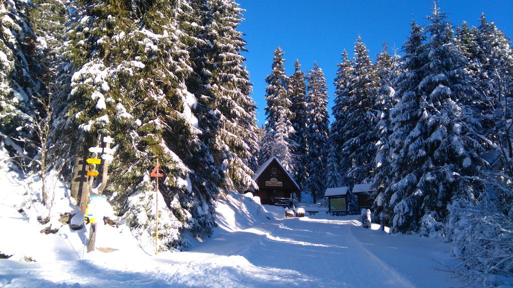 Pension Ploc Harrachov Extérieur photo