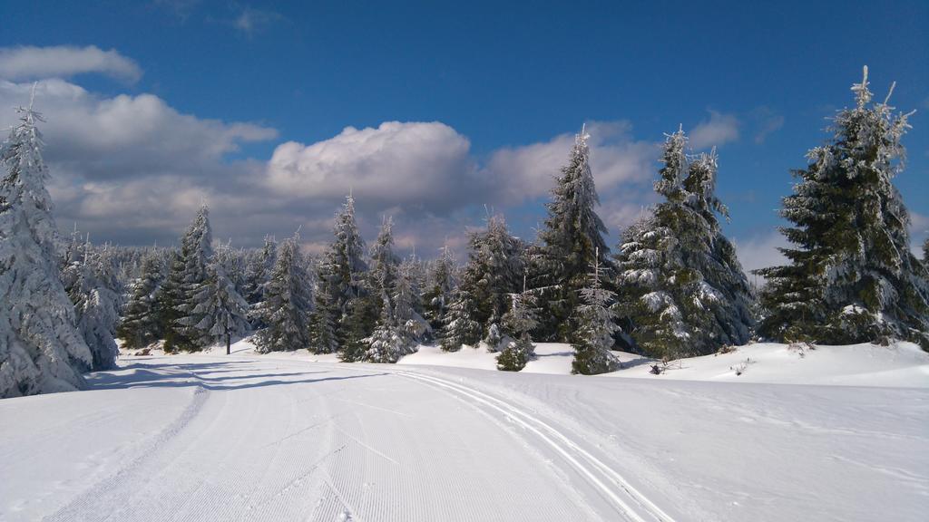 Pension Ploc Harrachov Extérieur photo